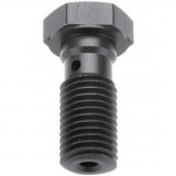 TRW Hollow Bolt short M10 X 1.00