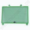 Protection grille green Kawasaki Z 900 17-/Z 900 RS 21-