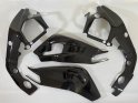 frame + swingarm protection carbon BMW S1000RR 2009-2011