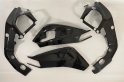 frame + swingarm protection carbon BMW S1000RR 2012-2014