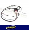 Harness and accessories