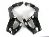 Carbon Protector de marco