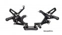 ARP-Racing Parts foot rest system Ducati 959/1299 Panigale