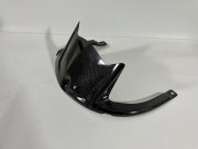 Hinterradabdeckung Carbon Kawasaki ZX10R 2011-