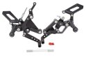 PP-Pure Concept Ducati Panigale V2/S 2025-