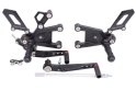 PP Pure Concept Triumph Daytona 660 2024-2026