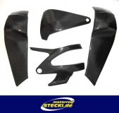 frame + swingarm protection carbon Buell