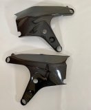 Ducati Panigale V4 V4R frame protection