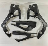 Carbon-Rahmen+ Schwingenschoner BMW S1000RR 2025-