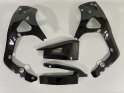 Carbon-Rahmen+ Schwingenschoner Honda CBR 600RR 20024-
