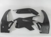 Carbon-Rahmen + Schwingenschoner matt Aprilia RS660 2020-