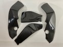 Carbon Rahmen+Schwingenschoner Kawasaki ZX10R 2004-2005