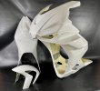 racing linning GFK+ fender Aprilia RSV4 2021-