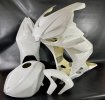 racing linning GFK + tank cover +fenderAprilia RSV4 2021-