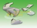 Rennverkleidung GFK Kawasaki ZX10R 2006-2007