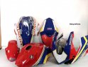 Carenado de la raza pinta Honda CBR1000RR 2017-2019