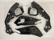 Carbon-Rahmen+ Schwingenschoner BMW S1000RR 2015-2018