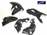 Set Carbon Teile MV Agusta F3 2013