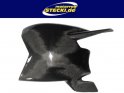 swingarm protection Carbon Ducati 848,1098,1198