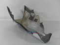 Unterteil lackiert Carbon Design BMW S1000RR 2015-2018