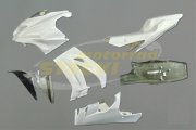 Rennverkleidung, UT-original GFK Kawasaki ZX10R 2016-