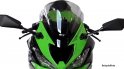 MRA-Racingscheibe "R" Kawasaki ZX6R 2019-